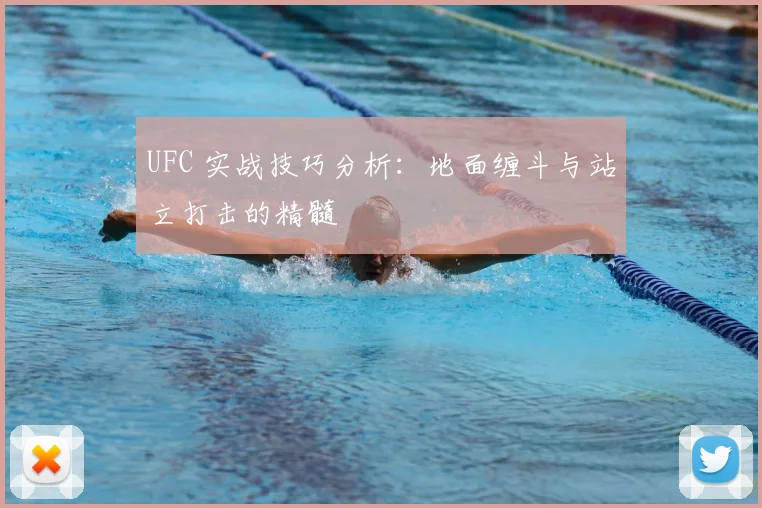 UFC 实战技巧分析:地面缠斗与站立打击的精髓