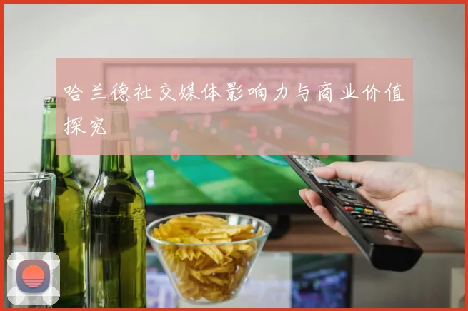 哈兰德社交媒体影响力与商业价值探究