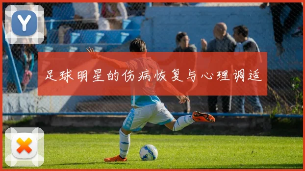 足球明星的伤病恢复与心理调适